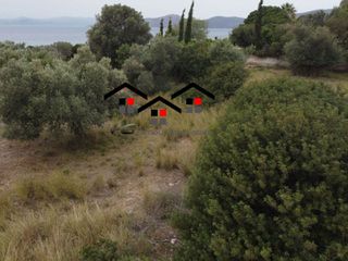 Αγροτεμάχια 5.610 τ.μ. για πώληση, Εύβοια, Στύρα-thumb-2