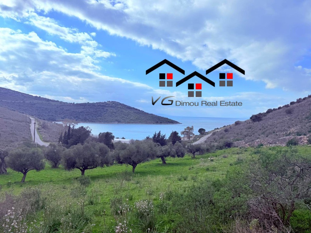 Αγροτεμάχια 5.300 τ.μ. προς πώληση, Μπούφαλο