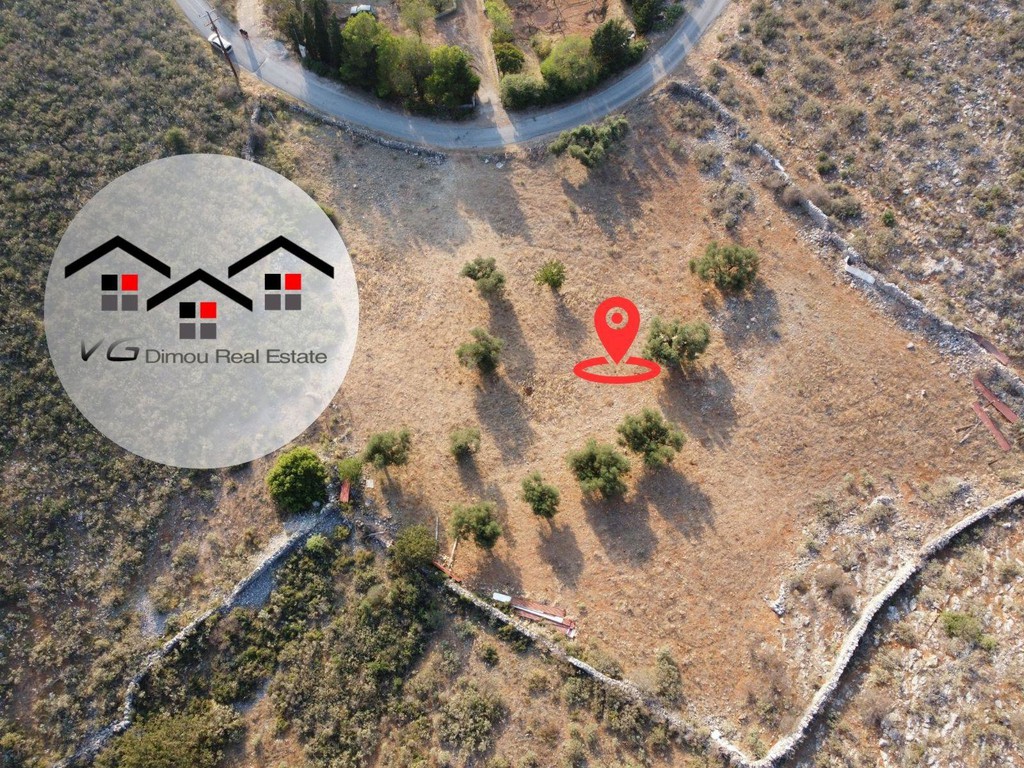 Αγροτεμάχια 5.300 τ.μ. προς πώληση, Μπούφαλο