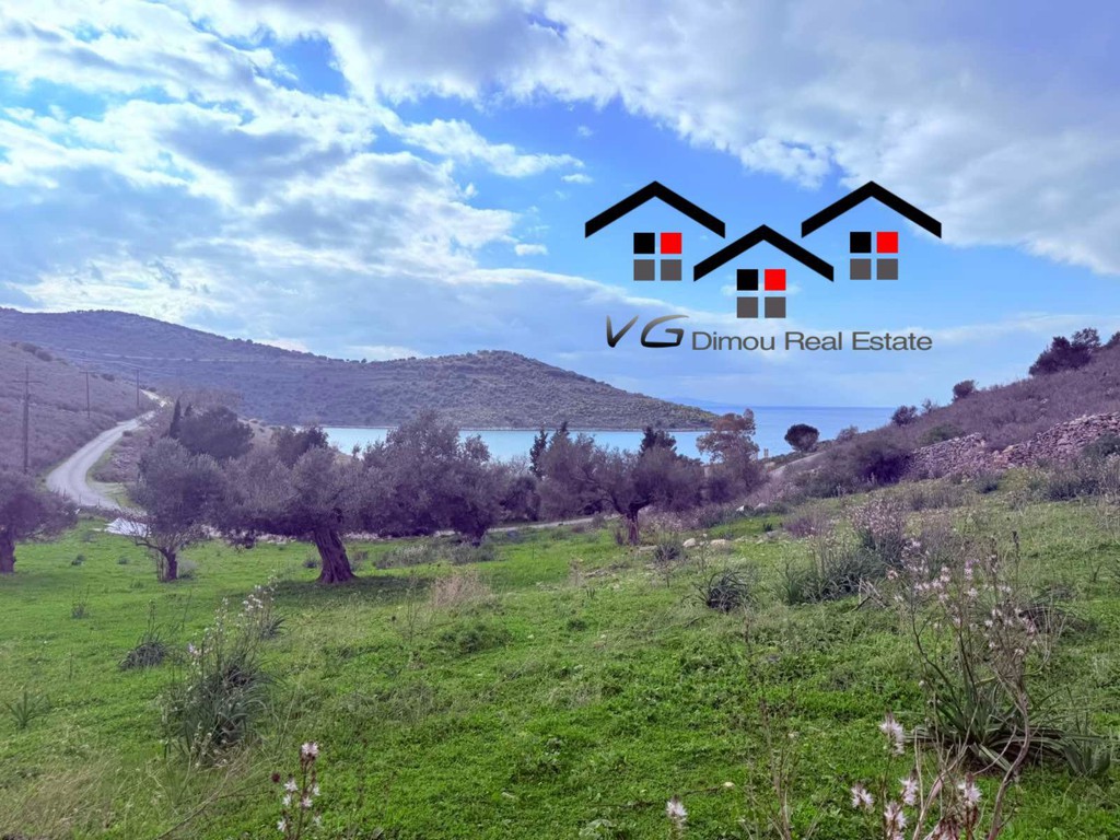 Αγροτεμάχια 5.300 τ.μ. προς πώληση, Μπούφαλο
