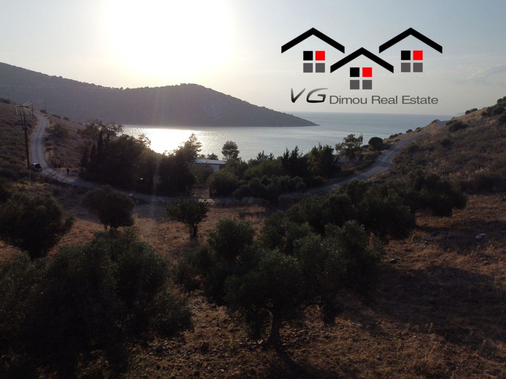 Αγροτεμάχια 5.300 τ.μ. προς πώληση, Μπούφαλο