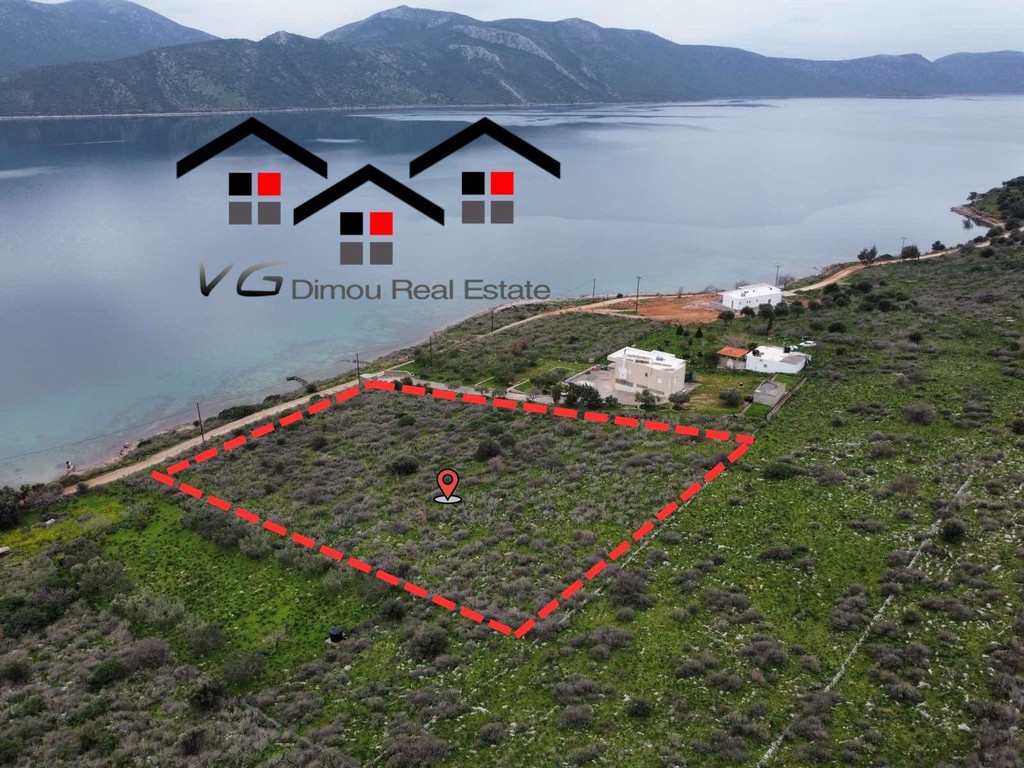 Αγροτεμάχια 6.660 τ.μ. προς πώληση, Άγιος Δημήτριος Δύστου