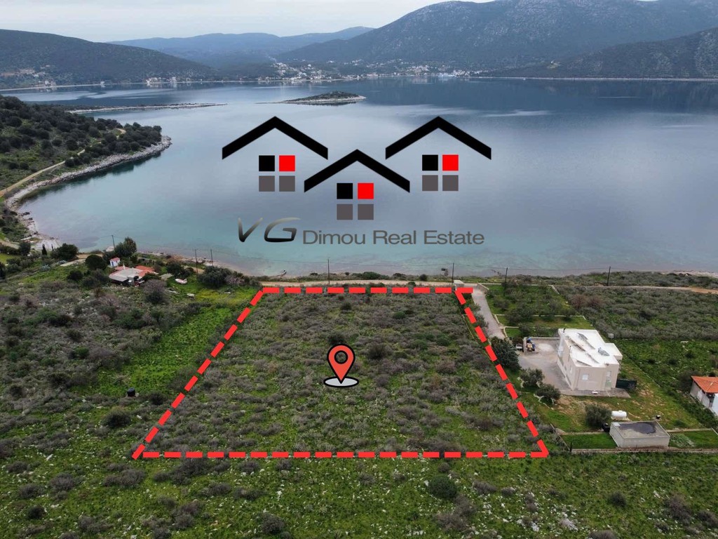 Αγροτεμάχια 6.660 τ.μ. προς πώληση, Άγιος Δημήτριος Δύστου