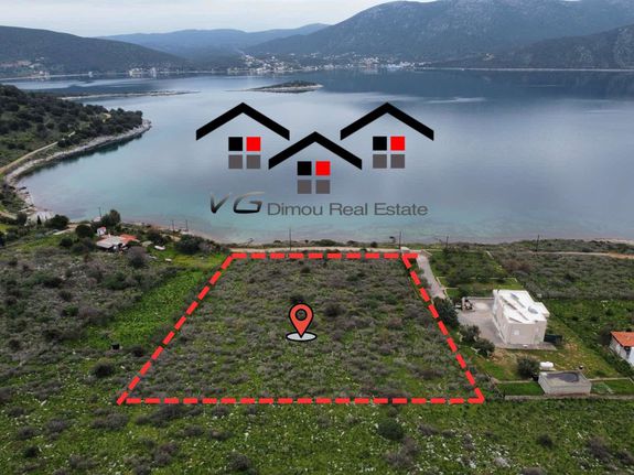 Αγροτεμάχια 6.660 τ.μ. για πώληση, Εύβοια, Δύστος