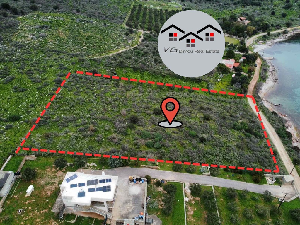 Αγροτεμάχια 6.660 τ.μ. προς πώληση, Άγιος Δημήτριος Δύστου