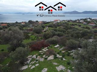 Αγροτεμάχια 10.000 τ.μ. για πώληση, Εύβοια, Στύρα-thumb-6