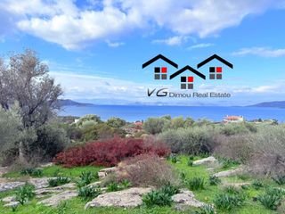 Αγροτεμάχια 10.000 τ.μ. για πώληση