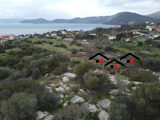 Αγροτεμάχια 10.000 τ.μ. για πώληση, Εύβοια, Στύρα-thumb-11