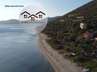 Αγροτεμάχια 10.000 τ.μ. για πώληση, Εύβοια, Στύρα-thumb-16