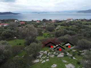 Αγροτεμάχια 10.000 τ.μ. για πώληση, Εύβοια, Στύρα-thumb-7