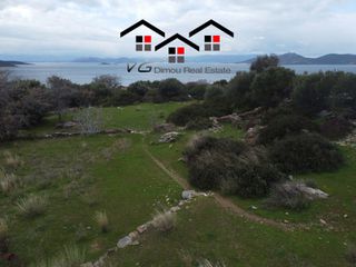 Αγροτεμάχια 10.000 τ.μ. για πώληση, Εύβοια, Στύρα-thumb-13