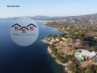 Αγροτεμάχια 10.000 τ.μ. για πώληση, Εύβοια, Στύρα-thumb-24