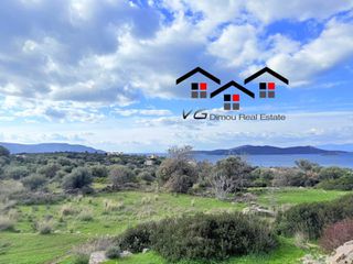 Αγροτεμάχια 10.000 τ.μ. για πώληση, Εύβοια, Στύρα-thumb-1