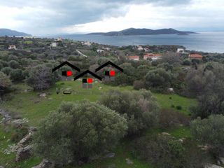 Αγροτεμάχια 10.000 τ.μ. για πώληση, Εύβοια, Στύρα-thumb-8