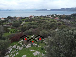 Αγροτεμάχια 10.000 τ.μ. για πώληση, Εύβοια, Στύρα-thumb-12