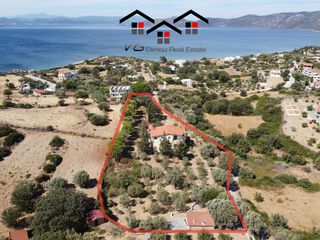 Μονοκατοικία 600 τ.μ. για πώληση, Εύβοια, Στύρα-thumb-6