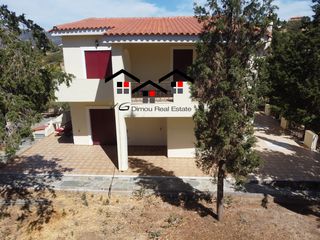 Μονοκατοικία 600 τ.μ. για πώληση, Εύβοια, Στύρα-thumb-21
