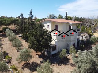 Μονοκατοικία 600 τ.μ. για πώληση, Εύβοια, Στύρα-thumb-23