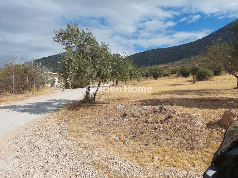 Οικόπεδο 34.000 τ.μ. προς ενοικίαση, Νέος Κουβαράς