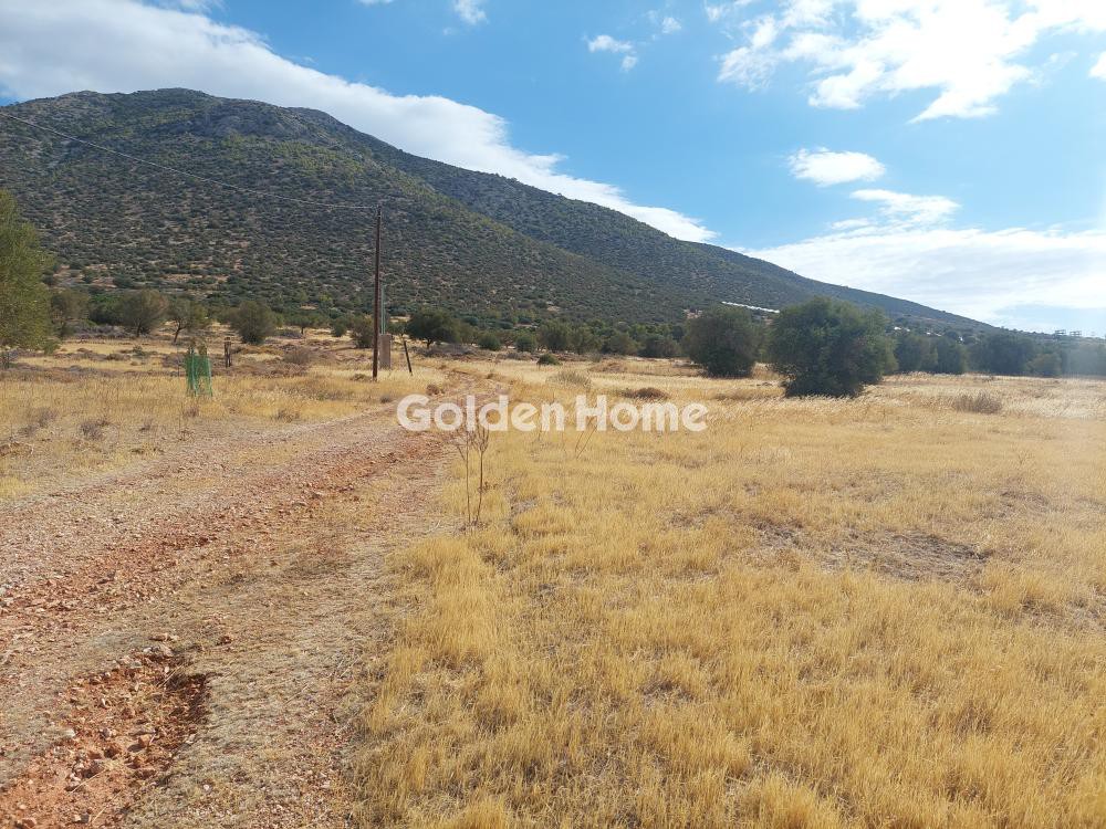Οικόπεδο 34.000 τ.μ. προς ενοικίαση, Νέος Κουβαράς