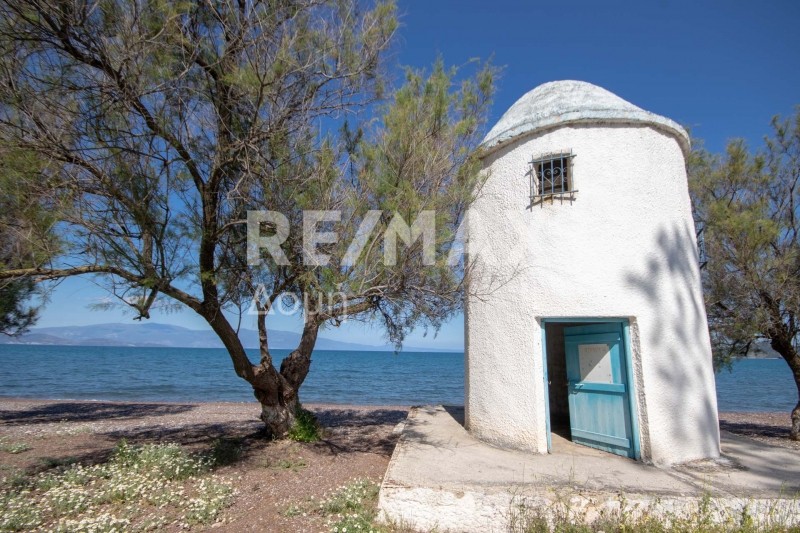 Μονοκατοικία 100 τ.μ. πρός πώληση, Μαγνησία, Αλμυρός
