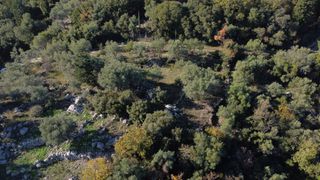 Αγροτεμάχια 1.342 τ.μ. για πώληση, Ν. Λευκάδας, Λευκάδα-thumb-4
