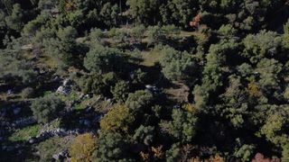 Αγροτεμάχια 1.342 τ.μ. για πώληση, Ν. Λευκάδας, Λευκάδα-thumb-7