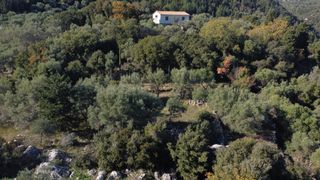 Αγροτεμάχια 1.342 τ.μ. για πώληση, Ν. Λευκάδας, Λευκάδα-thumb-3