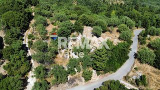 Αγροτεμάχια 1.342 τ.μ. πρός πώληση, Ν. Λευκάδας, Λευκάδα-thumb-13