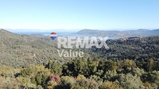 Αγροτεμάχια 1.342 τ.μ. πρός πώληση, Ν. Λευκάδας, Λευκάδα-thumb-16