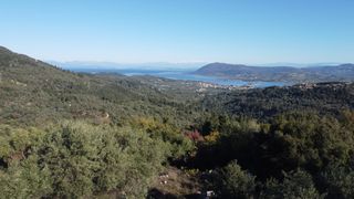 Αγροτεμάχια 1.342 τ.μ. για πώληση