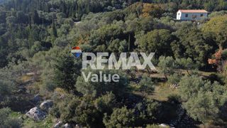 Αγροτεμάχια 1.342 τ.μ. πρός πώληση, Ν. Λευκάδας, Λευκάδα-thumb-23