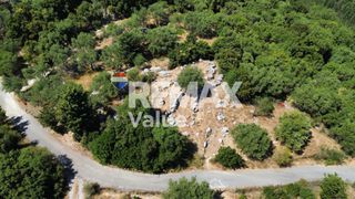 Αγροτεμάχια 1.342 τ.μ. πρός πώληση, Ν. Λευκάδας, Λευκάδα-thumb-12