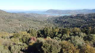 Αγροτεμάχια 1.342 τ.μ. για πώληση, Ν. Λευκάδας, Λευκάδα-thumb-6
