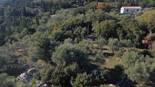 Αγροτεμάχια 1.342 τ.μ. για πώληση, Ν. Λευκάδας, Λευκάδα-thumb-8