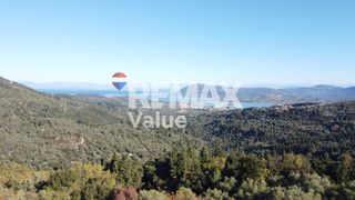 Αγροτεμάχια 1.342 τ.μ. για πώληση