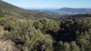 Αγροτεμάχια 1.342 τ.μ. για πώληση, Ν. Λευκάδας, Λευκάδα-thumb-2