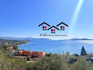 Αγροτεμάχια 4.047 τ.μ. για πώληση, Εύβοια, Στύρα-thumb-4