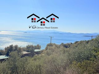 Αγροτεμάχια 4.047 τ.μ. για πώληση, Εύβοια, Στύρα-thumb-15
