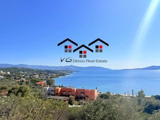 Αγροτεμάχια 4.047 τ.μ. για πώληση