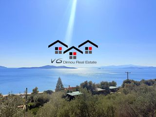 Αγροτεμάχια 4.047 τ.μ. για πώληση, Εύβοια, Στύρα-thumb-10