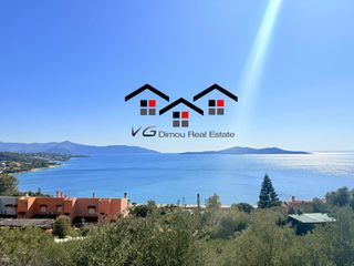 Αγροτεμάχια 4.047 τ.μ. για πώληση, Εύβοια, Στύρα-thumb-6