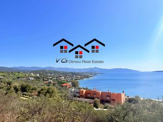 Αγροτεμάχια 4.047 τ.μ. για πώληση, Εύβοια, Στύρα-thumb-1