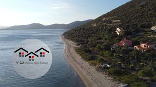Αγροτεμάχια 4.047 τ.μ. για πώληση, Εύβοια, Στύρα-thumb-21