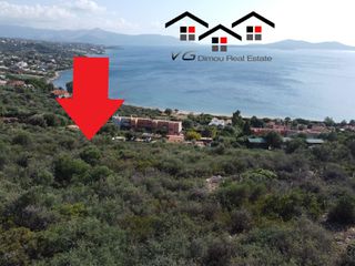 Αγροτεμάχια 4.047 τ.μ. για πώληση, Εύβοια, Στύρα-thumb-17