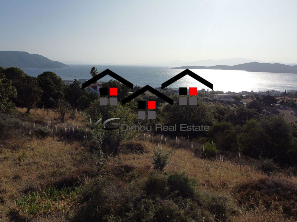 Αγροτεμάχια 6.000 τ.μ. προς πώληση, Νέα Στύρα
