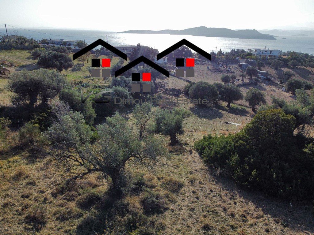 Αγροτεμάχια 6.000 τ.μ. προς πώληση, Νέα Στύρα
