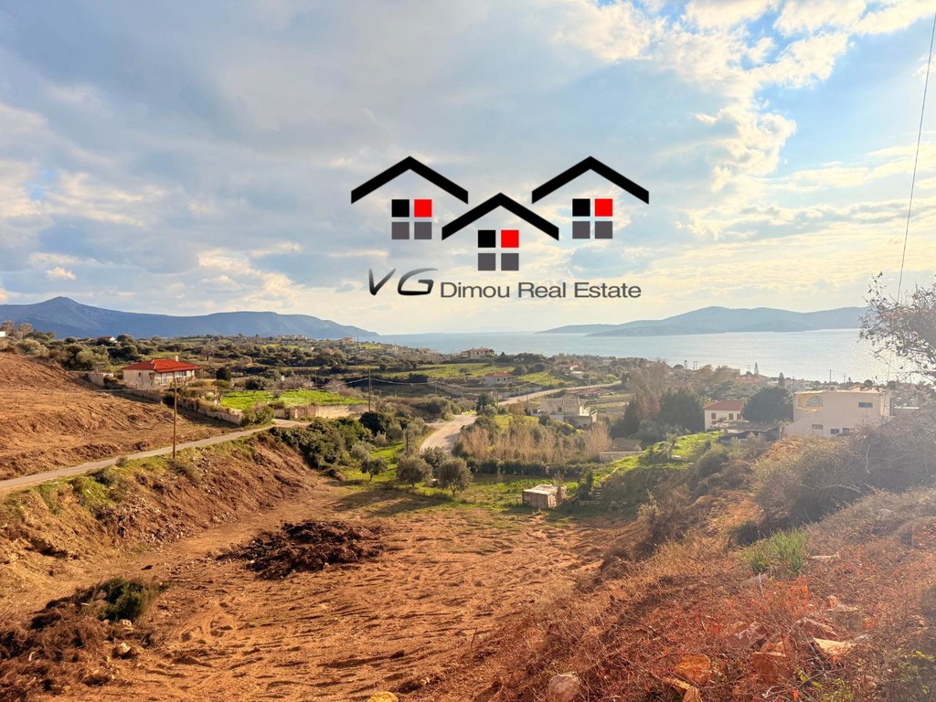 Αγροτεμάχια 17.260 τ.μ. προς πώληση, Δήλησο