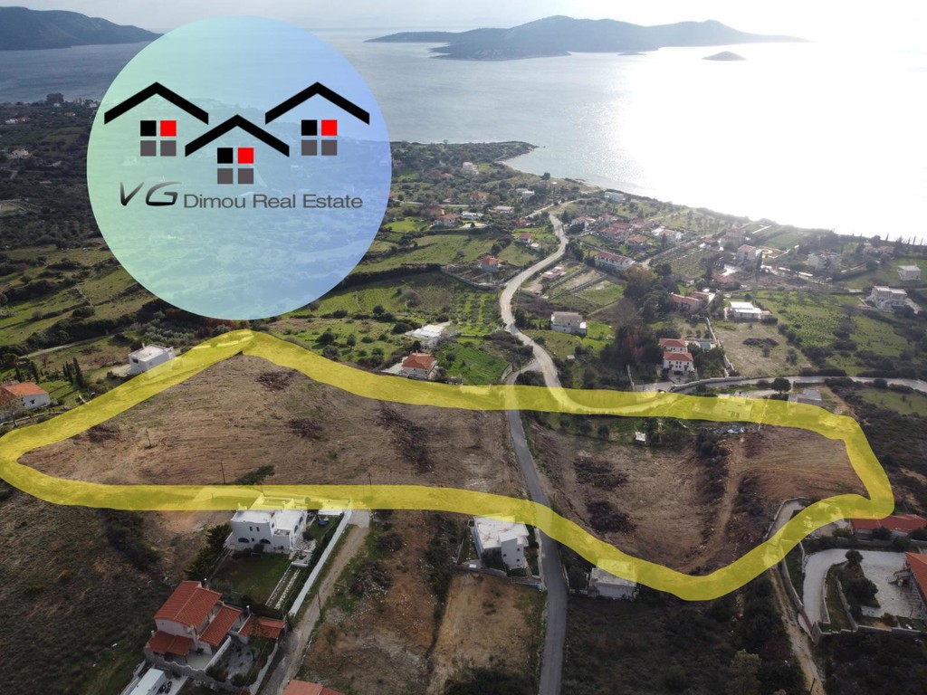 Αγροτεμάχια 17.260 τ.μ. προς πώληση, Δήλησο