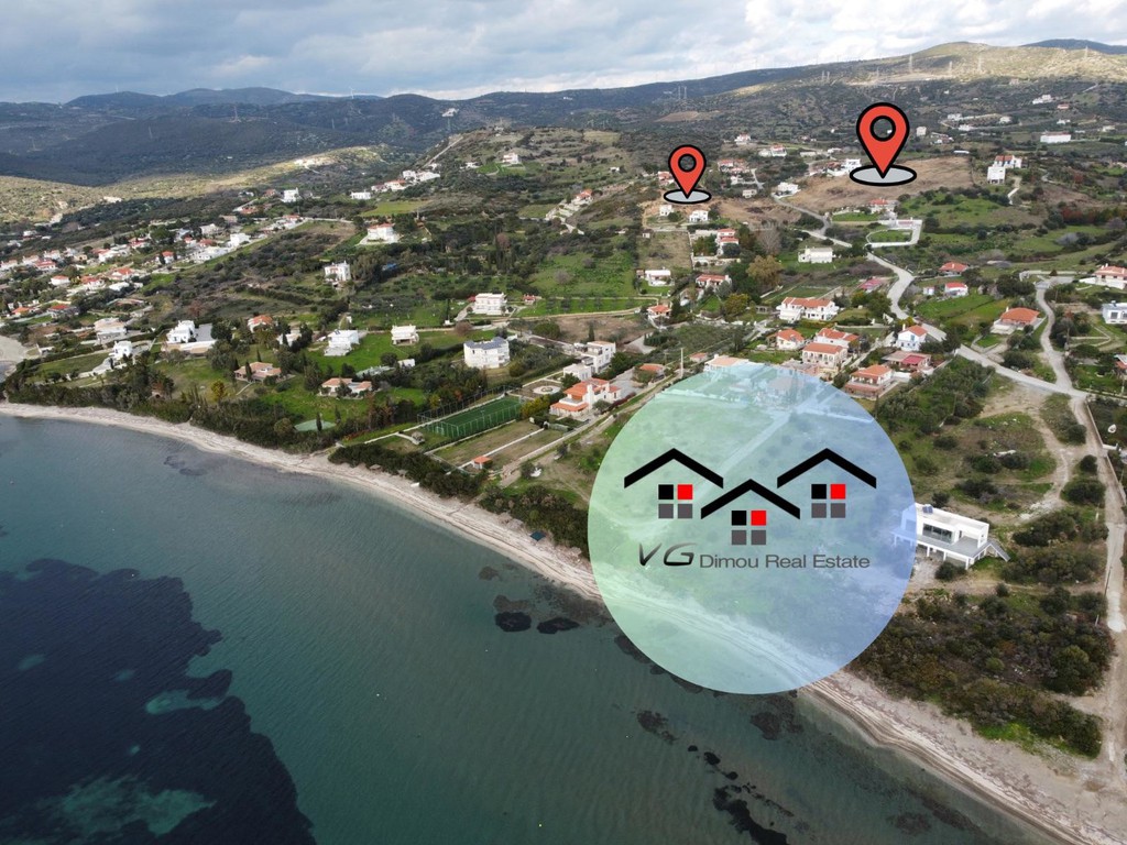 Αγροτεμάχια 17.260 τ.μ. προς πώληση, Δήλησο